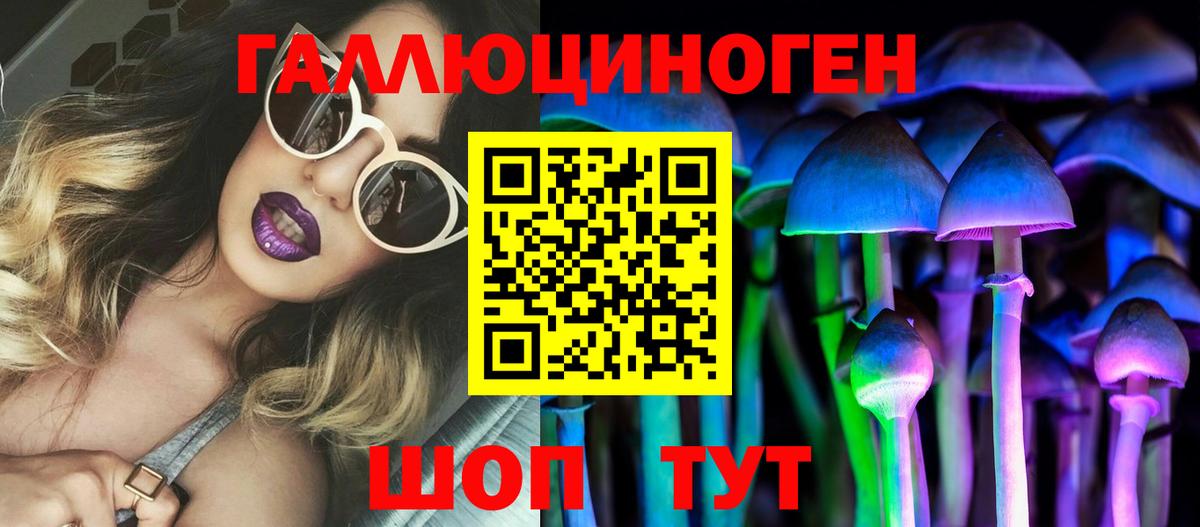 Галлюциногенные грибы Psilocybe  где купить   Галлюциногенные грибы прущие грибы  Тула  Вход с VPN 