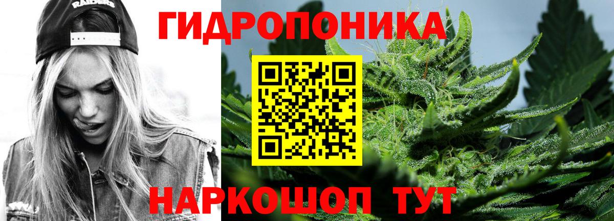 Тула  Бошки Шишки LSD WEED  Вход с VPN  Канабис сатива  Каннабис планчик 